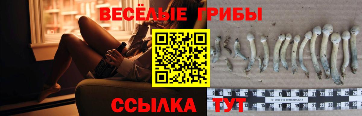 Псилоцибиновые грибы Psilocybe  Галлюциногенные грибы ЛСД  Вход с VPN  Рузаевка 